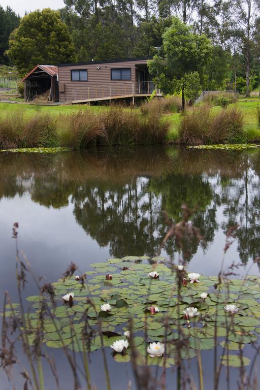 Tyenna River Cottages Exteriér fotografie