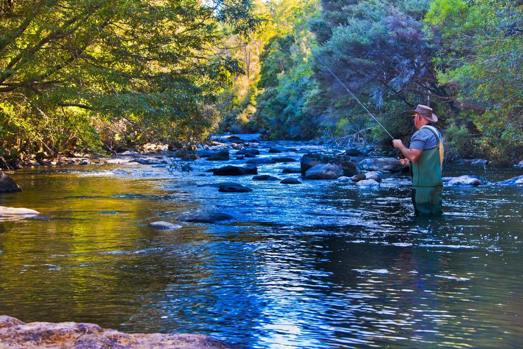 Tyenna River Cottages Exteriér fotografie